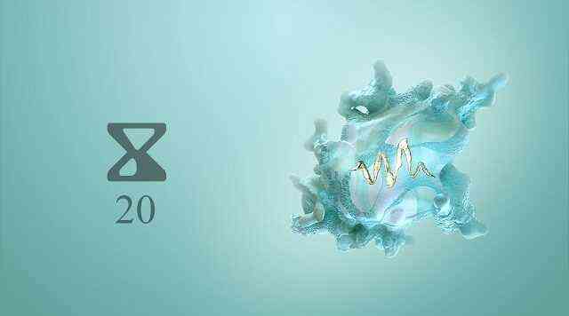 WAVEFORMS Lyrics – Rilès WAVEFORMS Lyrics