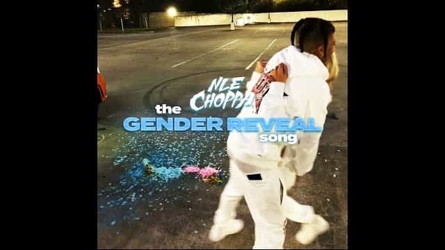 The Gender Reveal Song Lyrics