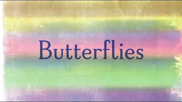 Butterflies Lyrics