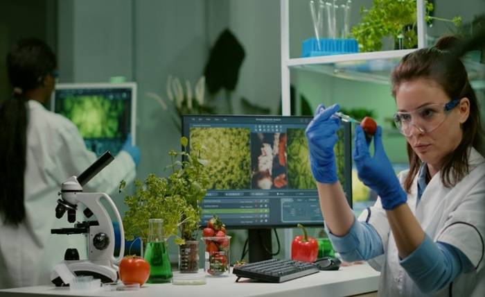 Exploring Amino Acid Transport Systems and Nutrient Delivery Optimization Exploring Amino Acid Transport Systems and Nutrient Delivery Optimization